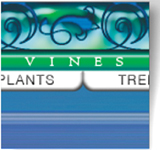 Navigation: Creating Stylish, User-Friendly Navigation