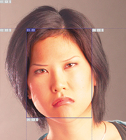 Using the Animation Palette.