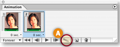 Using the Animation Palette.