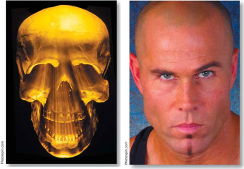 Layer Mask Animation