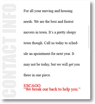 Vector-Based Graphics.