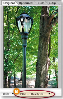 Interpreting this Statement.