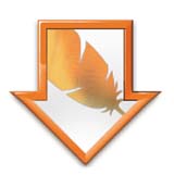 Demystifying Droplets