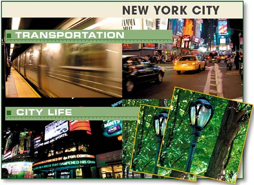 Preparing Photos for the Web with Conditional Actions