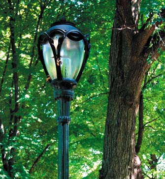 Preparing Photos for the Web with Conditional Actions