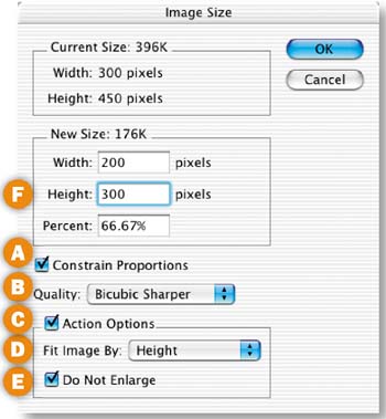 No Action Sets in ImageReady.