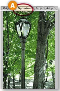 Interpreting this Statement.