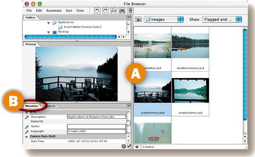 File Browser Metadata Panel