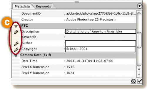 File Browser Metadata Panel