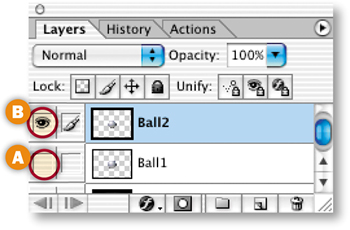 Flash Capability in ImageReady.