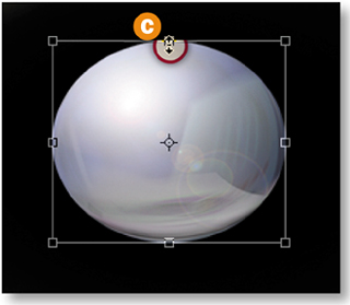 Flash Capability in ImageReady.