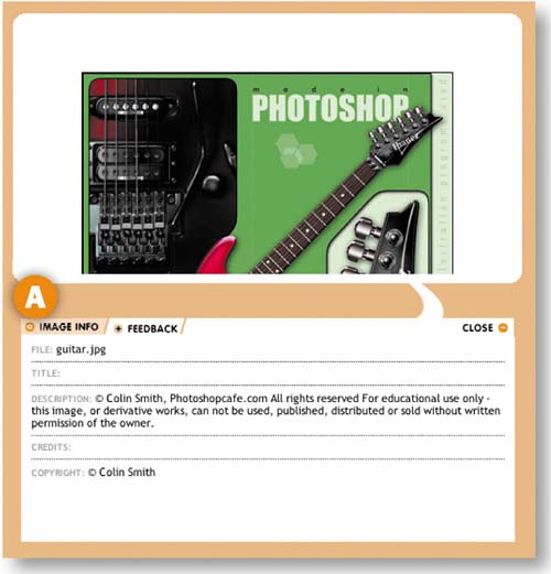 Gallery Site with Viewer Feedback