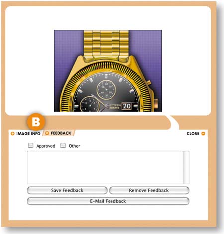 Gallery Site with Viewer Feedback