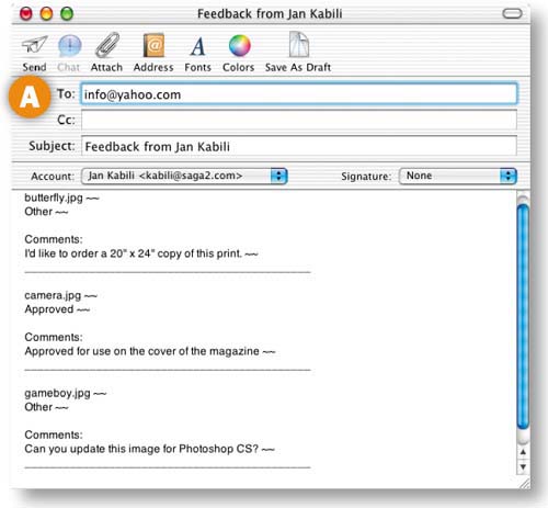 Save Your Gallery Site.