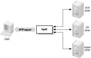 Squid sits between clients and servers