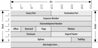 TCP segment format