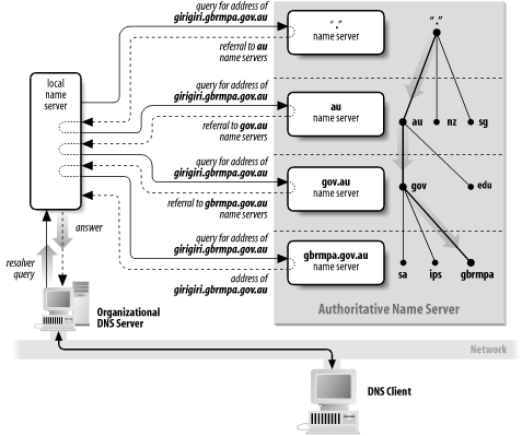 The DNS tree hierarchy for name resolution