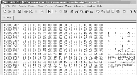 Hex dump of our binary