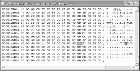 UltraEdit-32 hex output of test.exe