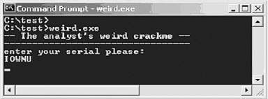 weird.exe buffer overflow crackme