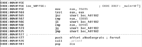 Screenshot of target code in IDA Pro