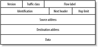 Representation of IPv6 header fields