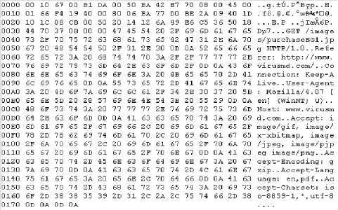 Hex dump of a sample packet