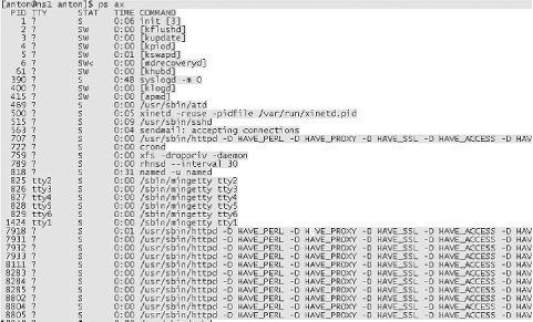 Screenshot of /bin/ps