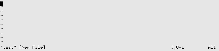 vi when opening a new file