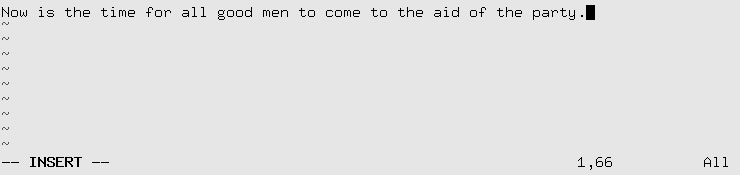 Entering text into vi buffer