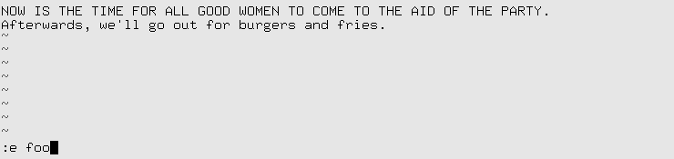 Editing antoher file with vi