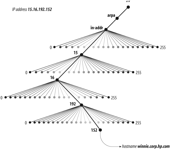 The in-addr.arpa domain