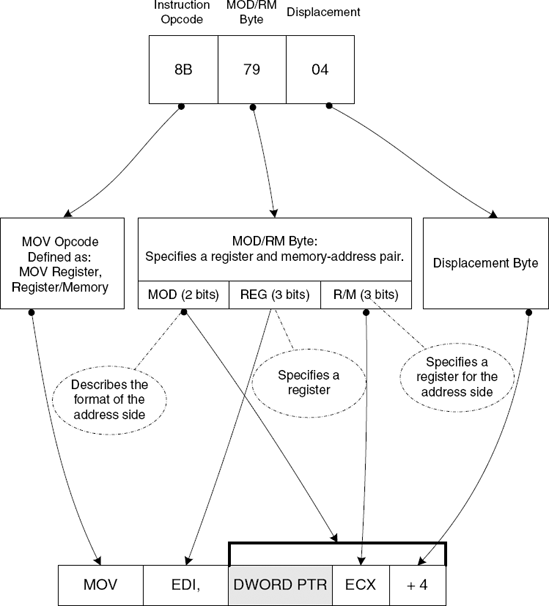 Translating an IA-32 instruction from machine code into human-readable assembly language.