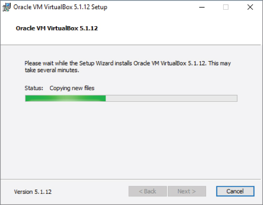 Snapshot showing VirtualBox installation status screen.