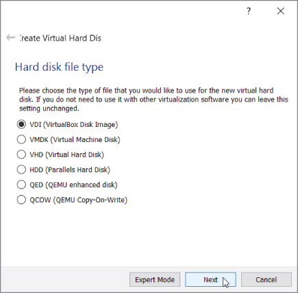 Screenshot of Selecting virtual disk type window.