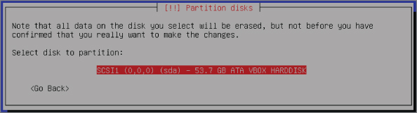 Confirming the disk screen.