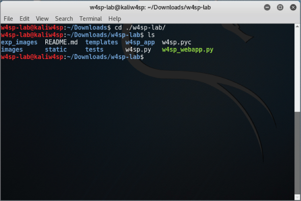 Running the W4SP Lab installation script screen.