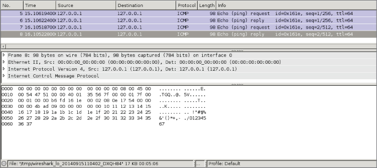 Snapshot showing Sample localhost ICMP traffic window.