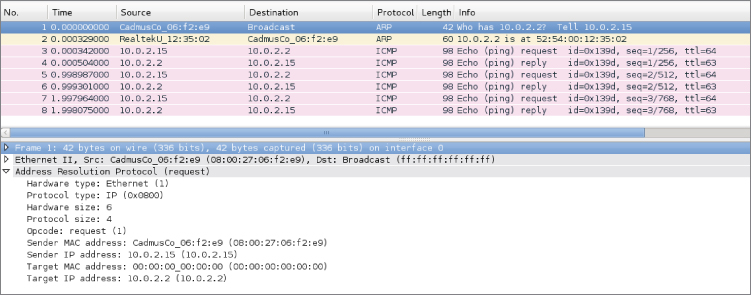 Ping and ARP transaction window.