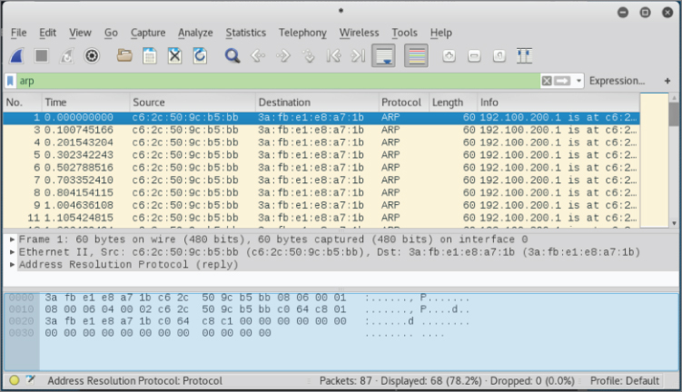 ARP packets fly screen.