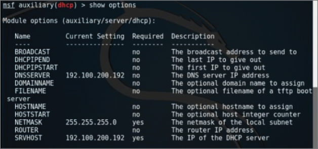 DHCP module options screen.