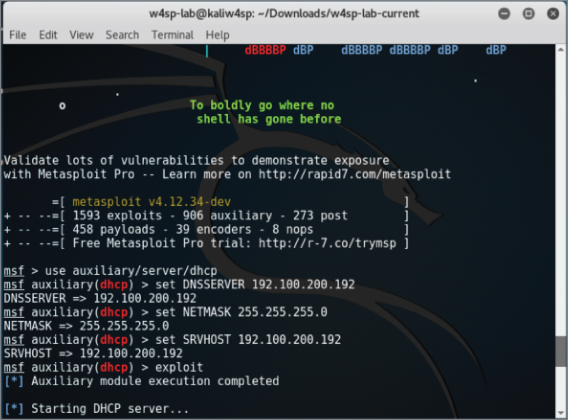DHCP running screen.
