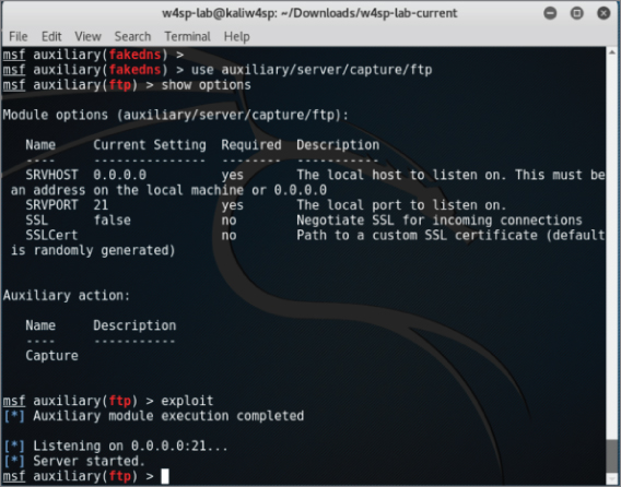 FTP capturing screen.