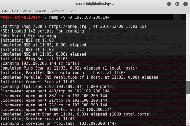 Snapshot showing Nmap port scan window.