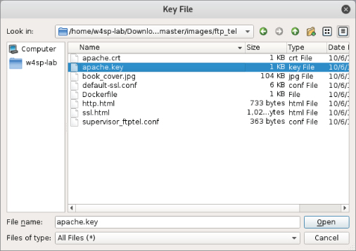 Setting up SSL/TLS decryption screen.