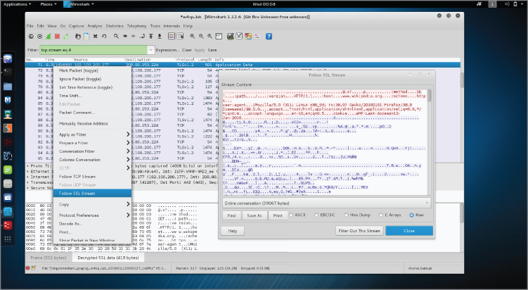 Snapshot of Decrypted SSL/TLS data screen.