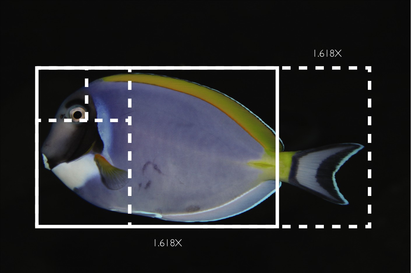 9781119998952-fg0519.eps