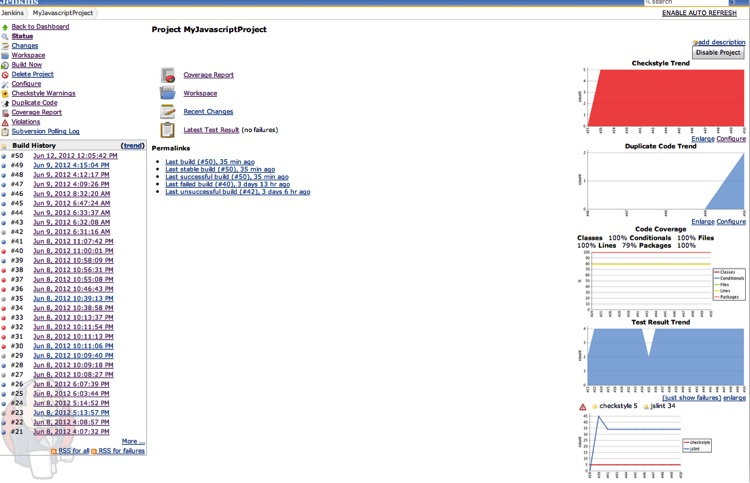 A fully configured Jenkins project home page
