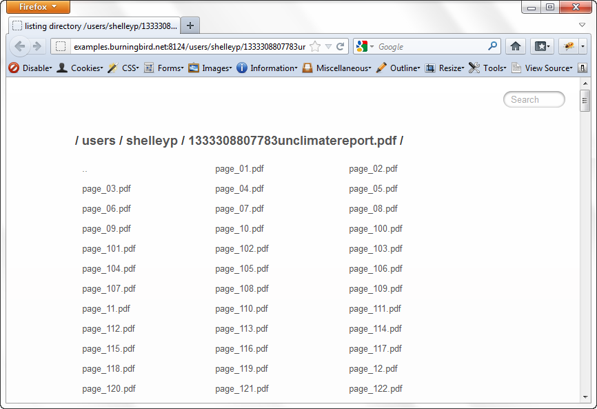 End result of running PDF Toolkit burst on large uploaded PDF